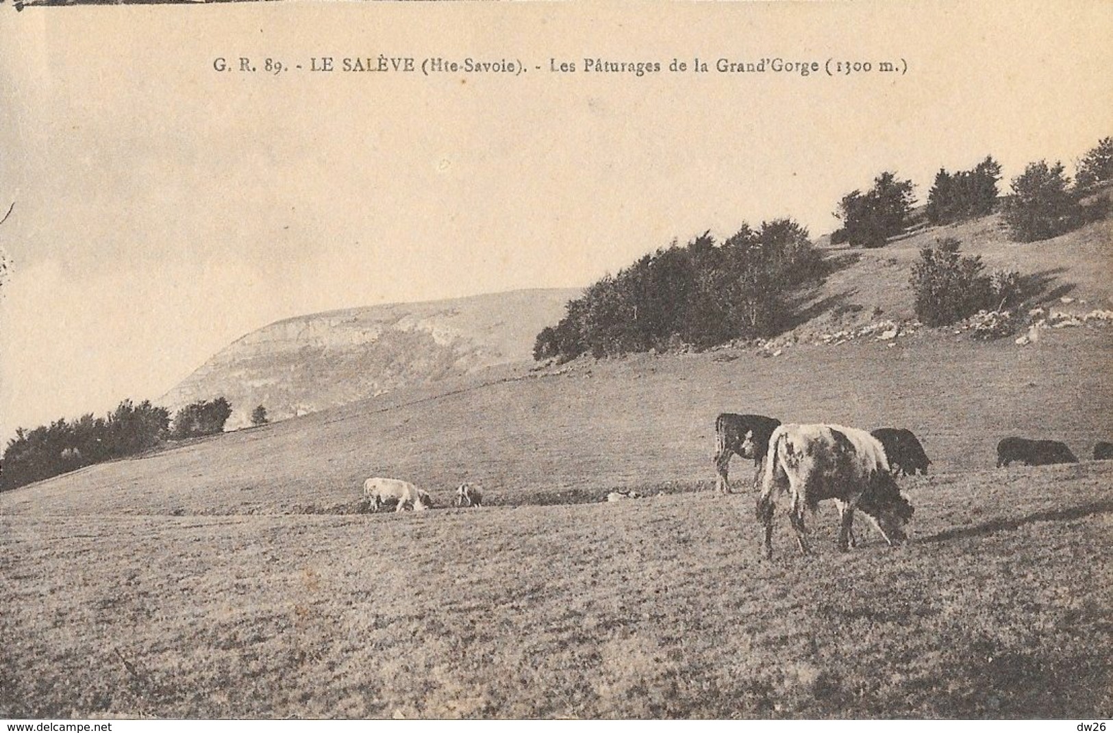 Elevage - Le Salève (Haute-Savoie) - Les Pâturages De La Grand'Gorge - Edition L. Fauraz - Carte Non Circulée - Elevage