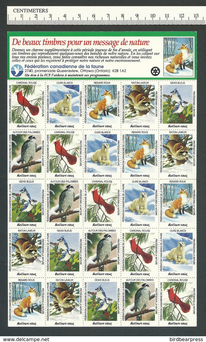 B53-40 CANADA Canadian Wildlife Federation Xmas Seals Sheet 1992 MNH French - Local, Strike, Seals & Cinderellas