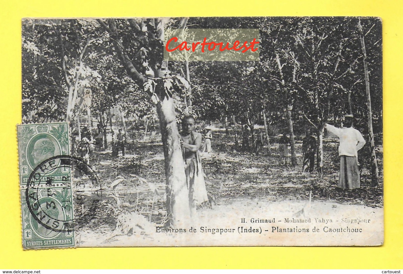 CPA  ¤¤ ASIE ¤¤ Env. SINGAPOUR ¤¤ Plantations De Caoutchouc - 1913 - Singapour