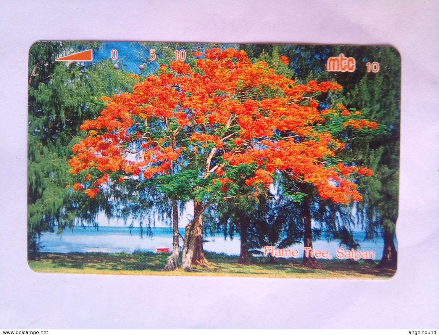 Flame Tree 10 Units - Northern Mariana Islands