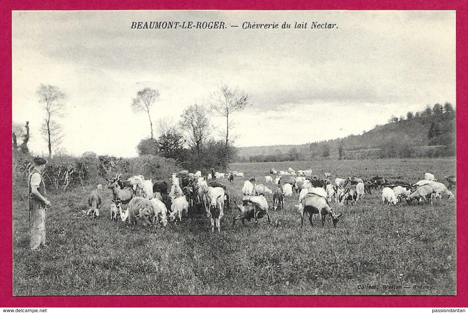 CPA Beaumont Le Roger - Chèvrerie Du Lait Nectar - Beaumont-le-Roger