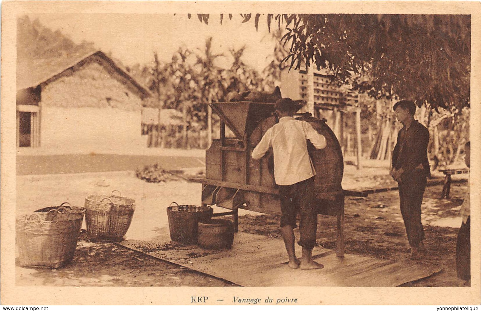 Cambodge / 05 - Kep - Vannage Du Poivre - Beau Cliché - Cambodge