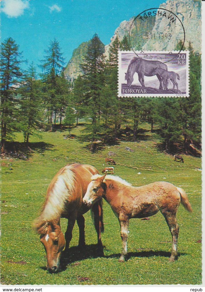 Féroé Carte Maximum 1993 Chevaux 245 - Féroé (Iles)