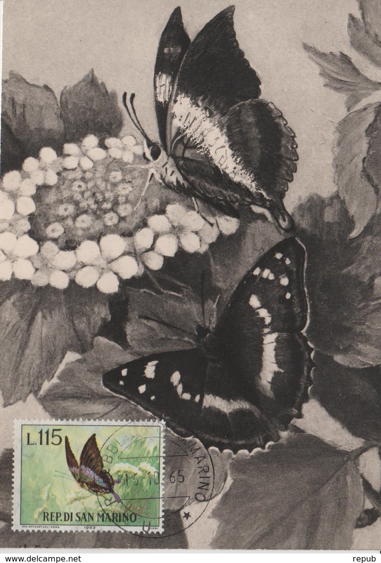 Saint Marin Carte Maximum 1963 Papillons 603 - Lettres & Documents