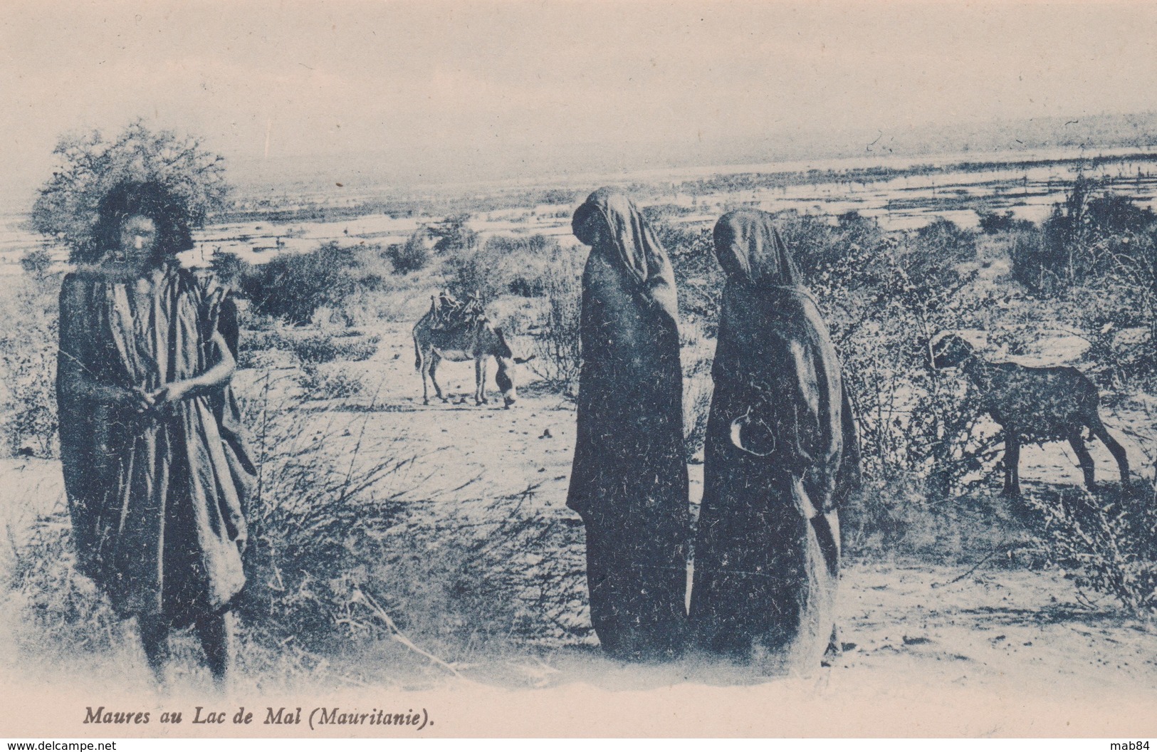 BASSIGUINDE - Mauritanie