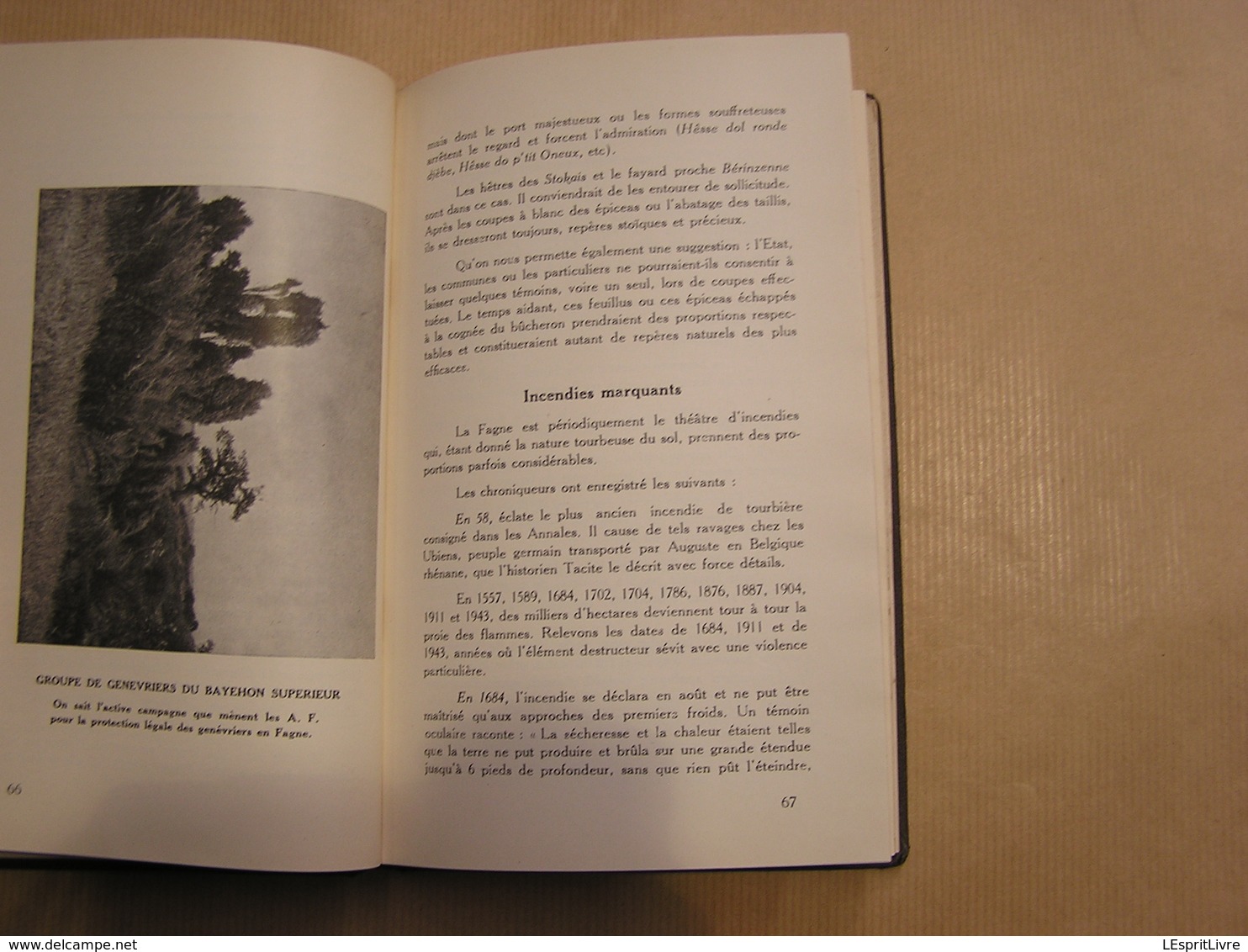 GUIDE DE LA FAGNE Freyens 1947 Régionalisme Nature Eupen Malmédy Jalhay Botrange Gileppe Hautes Fagnes Neu Hattlich