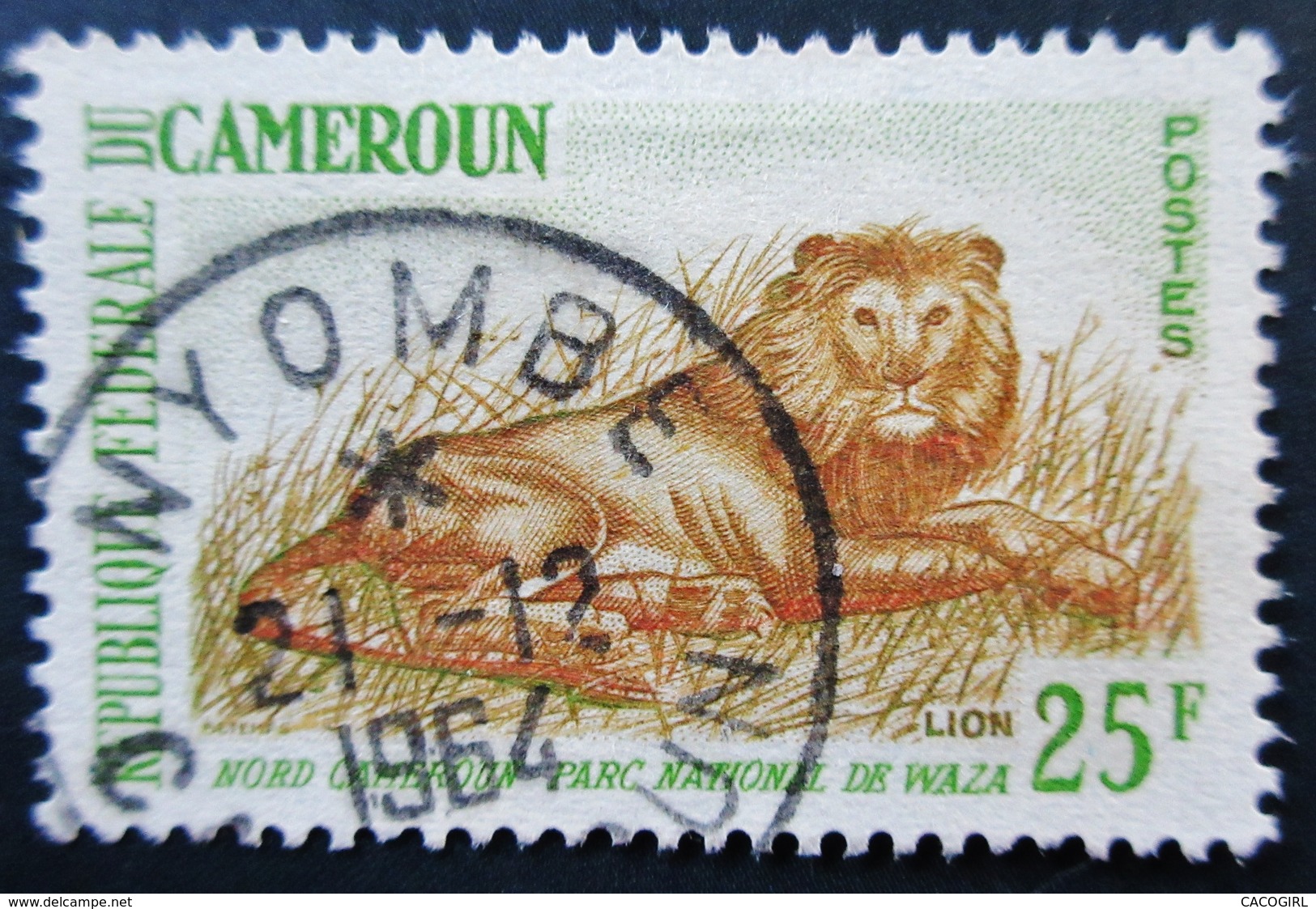 1964 Cameroun  Yt:CM 351A . Lion (Panthera Leo) . Oblitération NYOMBE 1964 - Cameroun (1960-...)