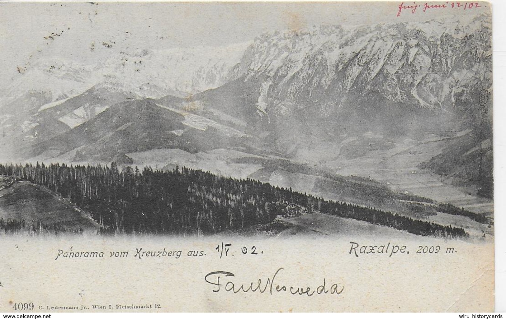 AK 0093  Raxalpe - Panorama Vom Kreuzberg Aus / Verlag Ledermann Um 1905 - Raxgebiet