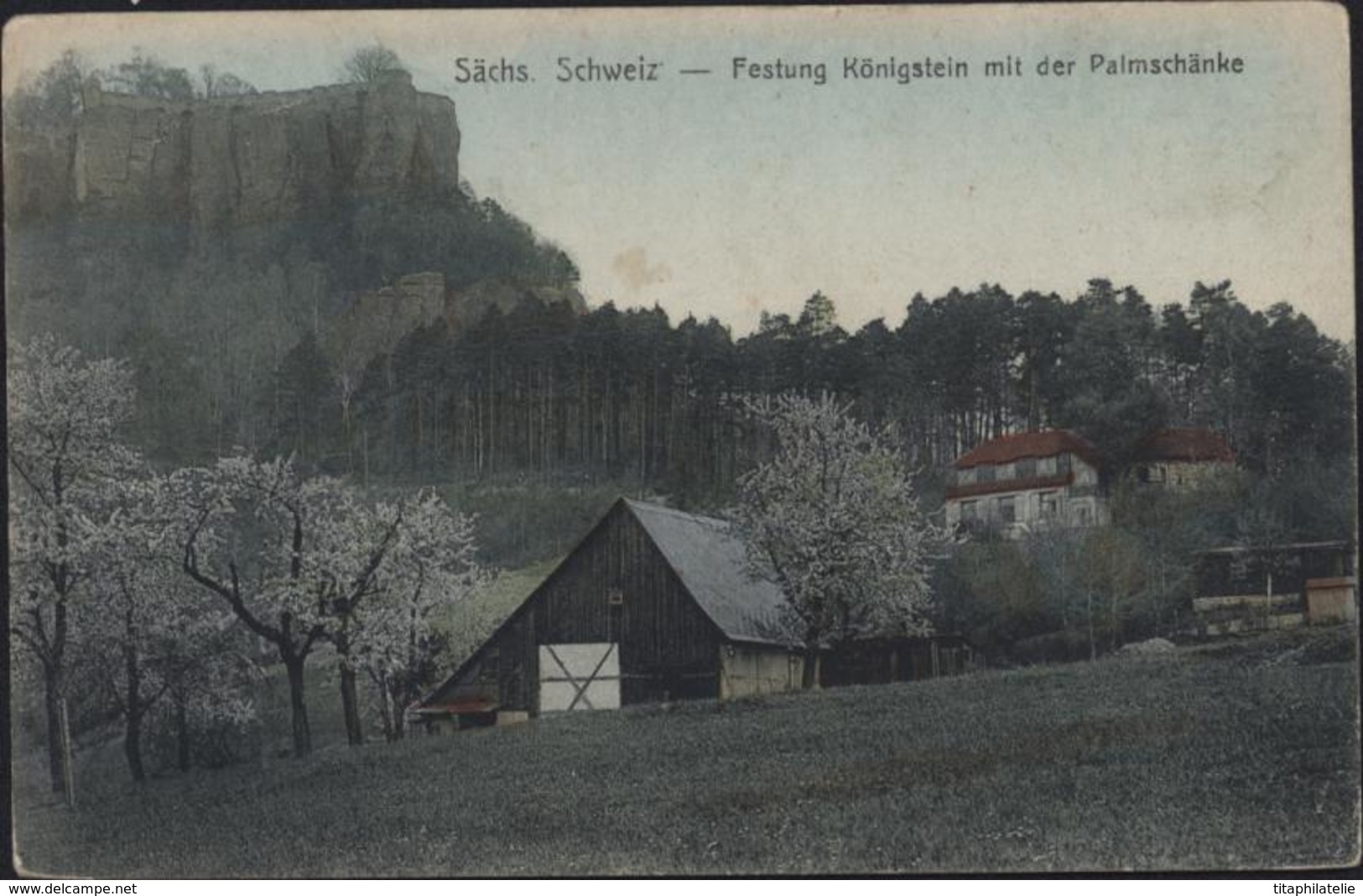 CPA CP Sächs Schweiz Festung Königstein Mit Der Palmschänke Kunst Verlag Max Köhler Dresden A - Koenigstein (Saechs. Schw.)