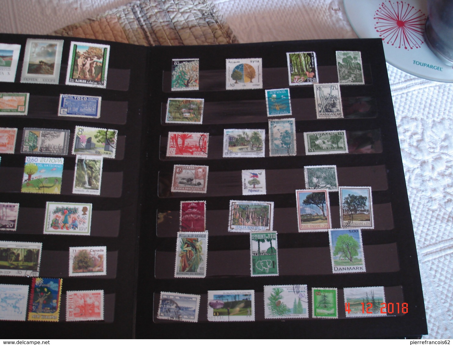 ALBUM CONTENANT PETITE COLLECTION DE TIMBRES SUR LES ARBRES DU MONDE - Collections (en Albums)