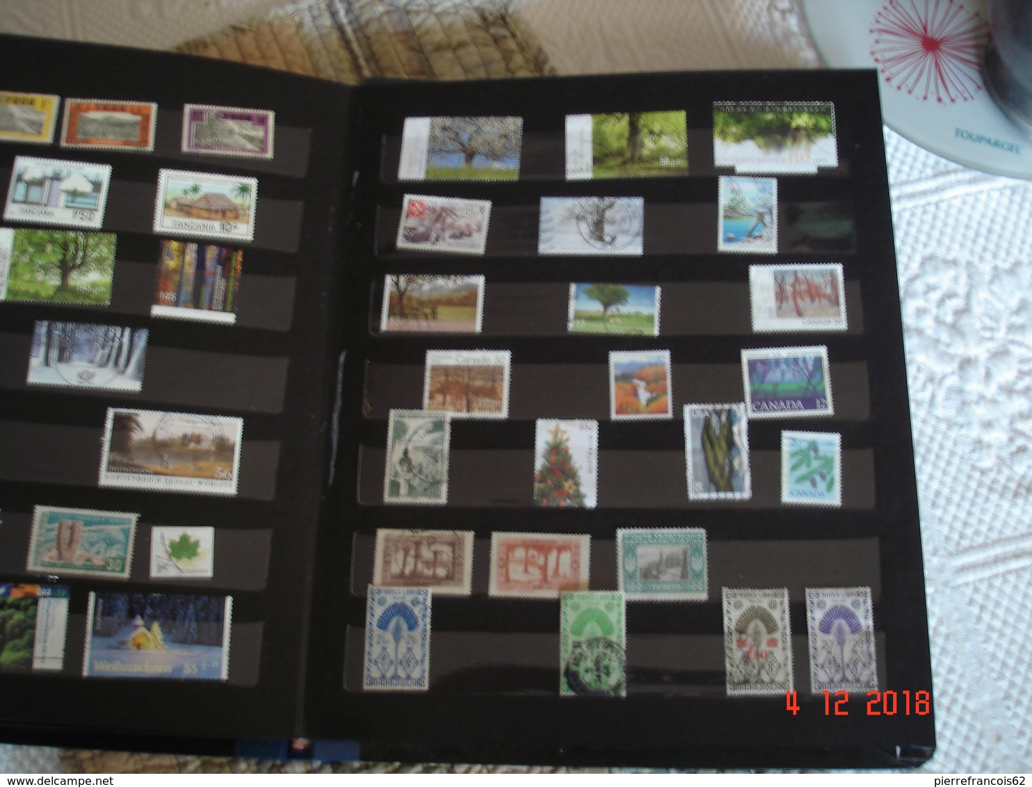 ALBUM CONTENANT PETITE COLLECTION DE TIMBRES SUR LES ARBRES DU MONDE - Collections (en Albums)