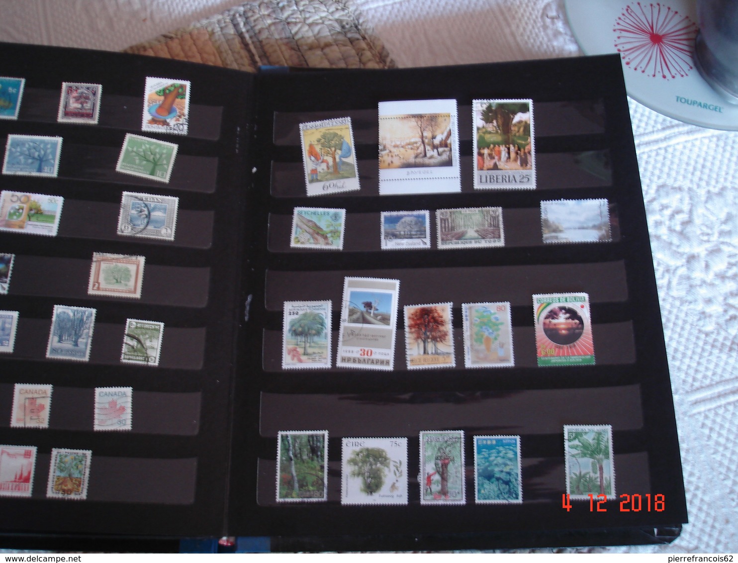 ALBUM CONTENANT PETITE COLLECTION DE TIMBRES SUR LES ARBRES DU MONDE