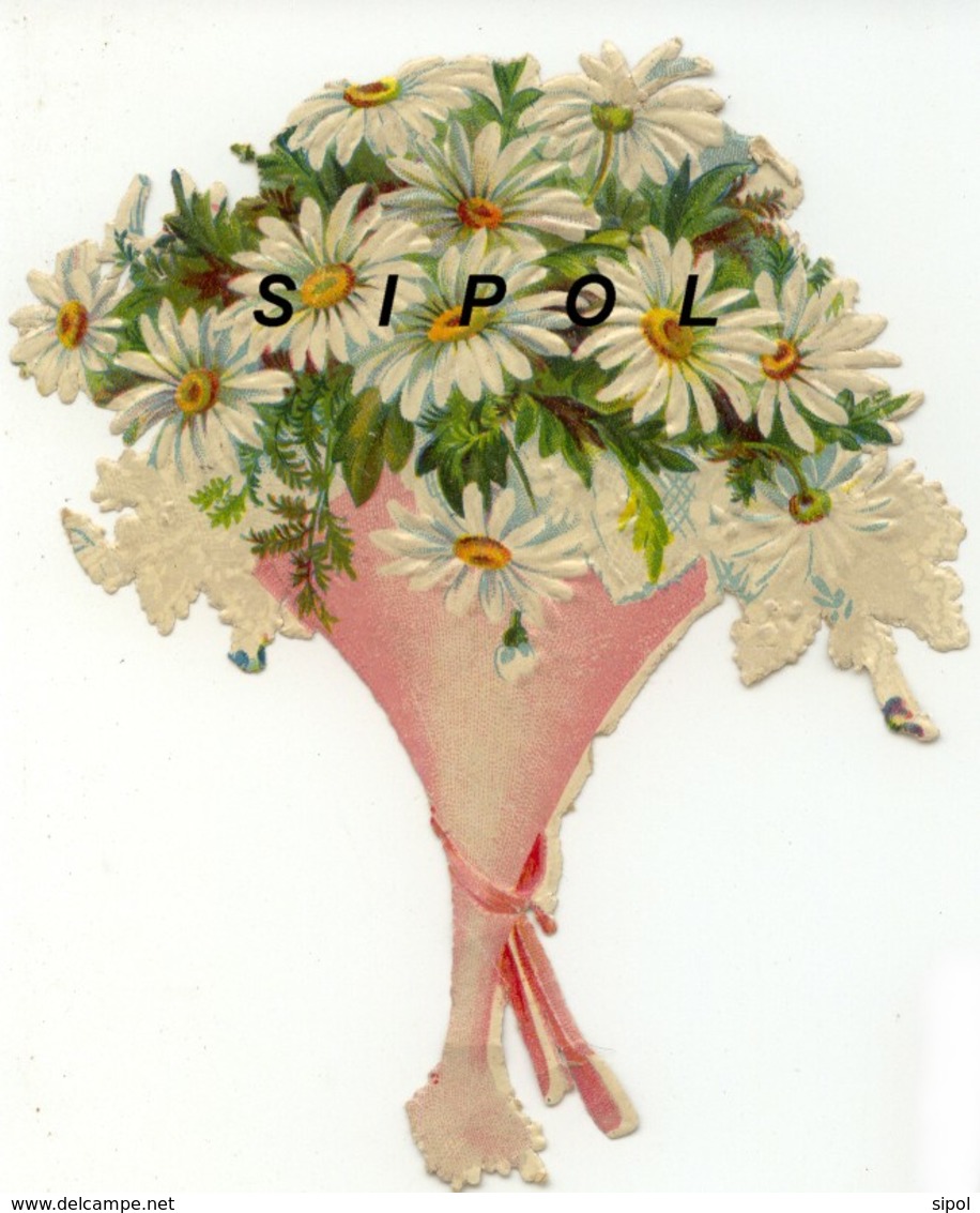 Bouquet De Marguerites Blanches Dans Cornet Rose - Fleurs