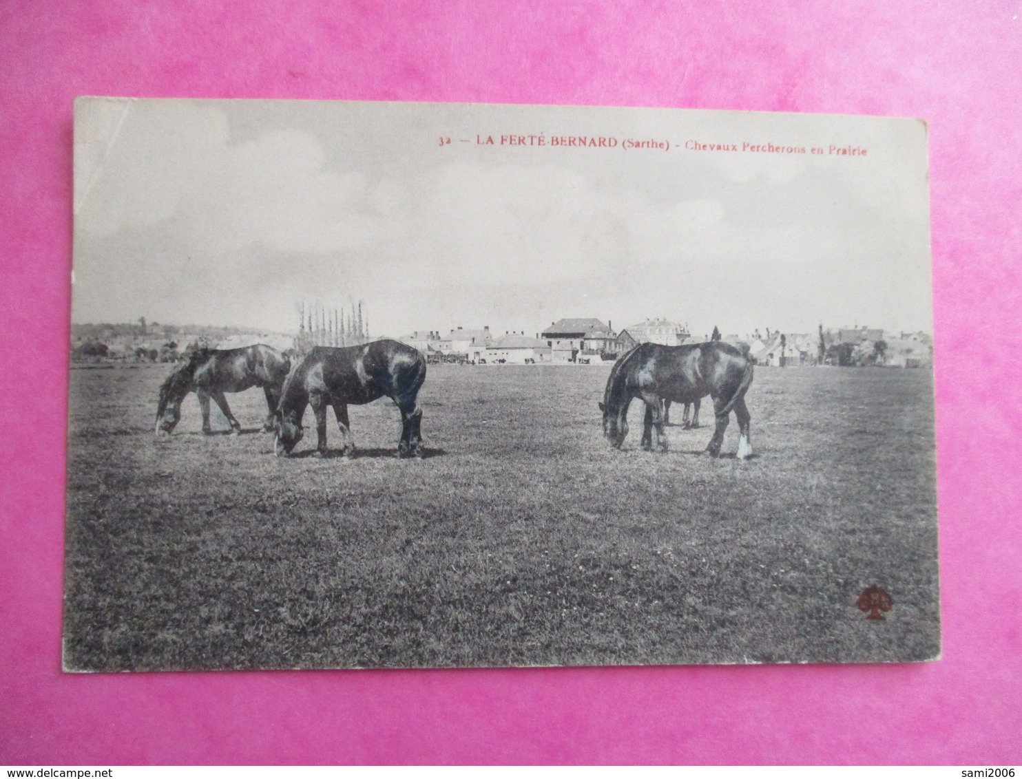 CPA 72 LA FERTE BERNARD CHEVAUX PERCHERONS EN PRAIRIE - La Ferte Bernard