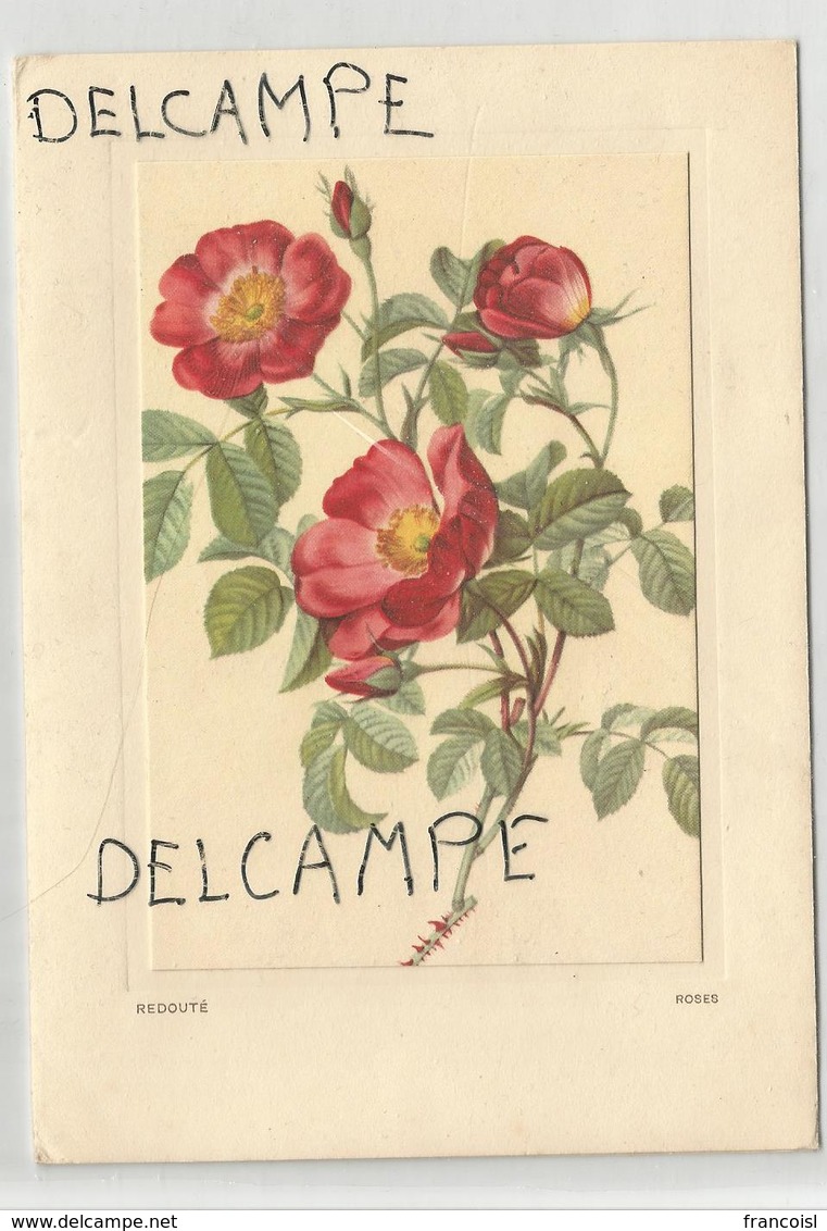 Roses Par Pierre-Joseph Redouté Dit "Le Raphaël Des Fleurs" - Fleurs