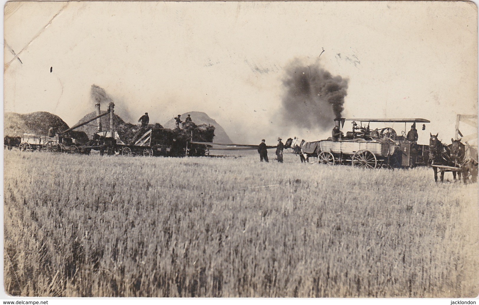 CANADA MANITOBA HAYWOOD  Carte Photographique  Septembre Octobre 1918 Le Battage - Other & Unclassified