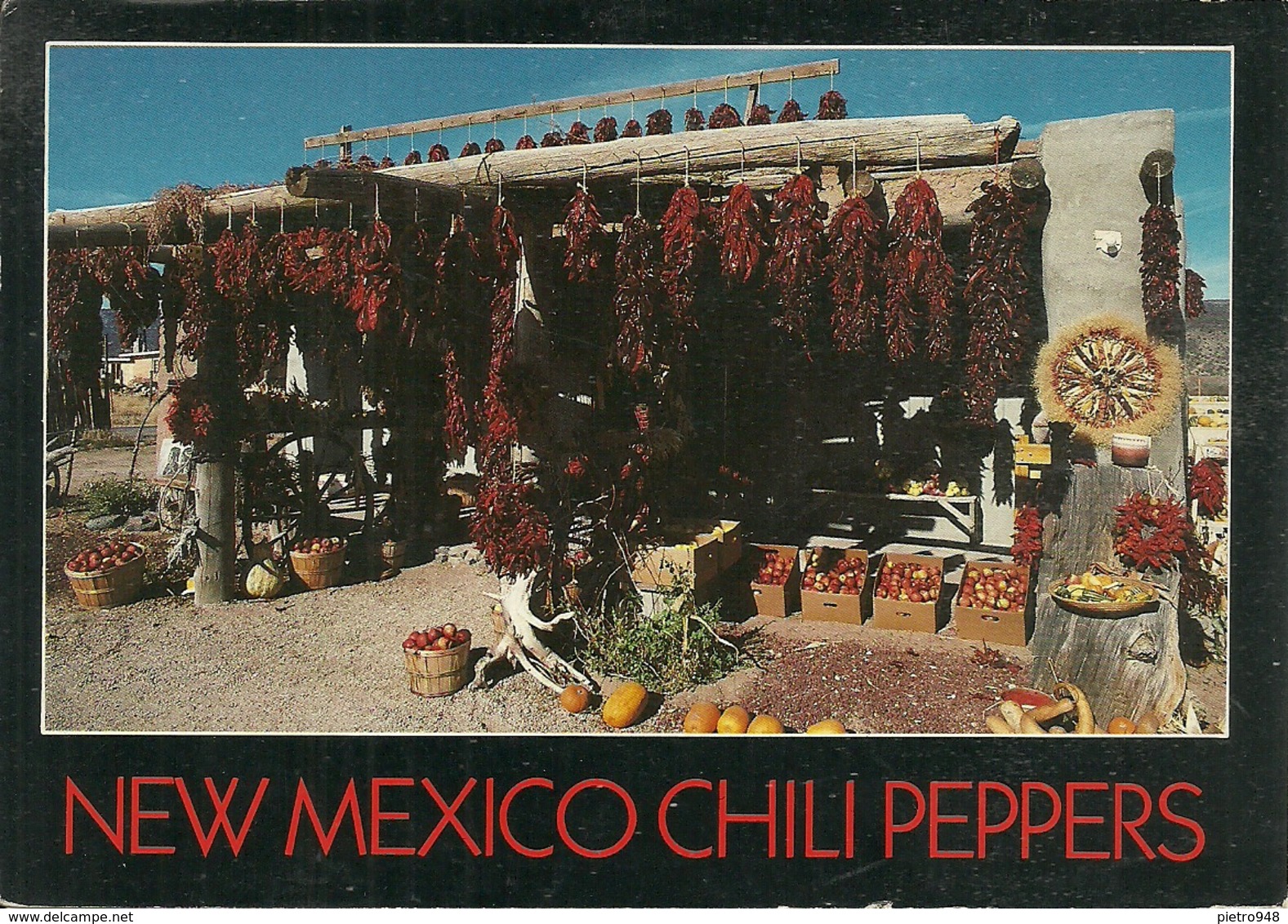 Albuquerque (New Mexico, USA) Chili Peppers - Albuquerque