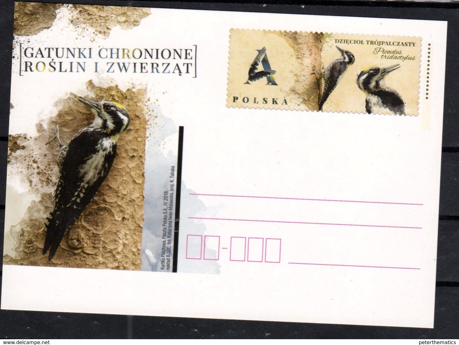 POLAND, 2018, POSTAL STATIONERY, MINT, BIRDS,  PREPAID POSTCARD - Other & Unclassified