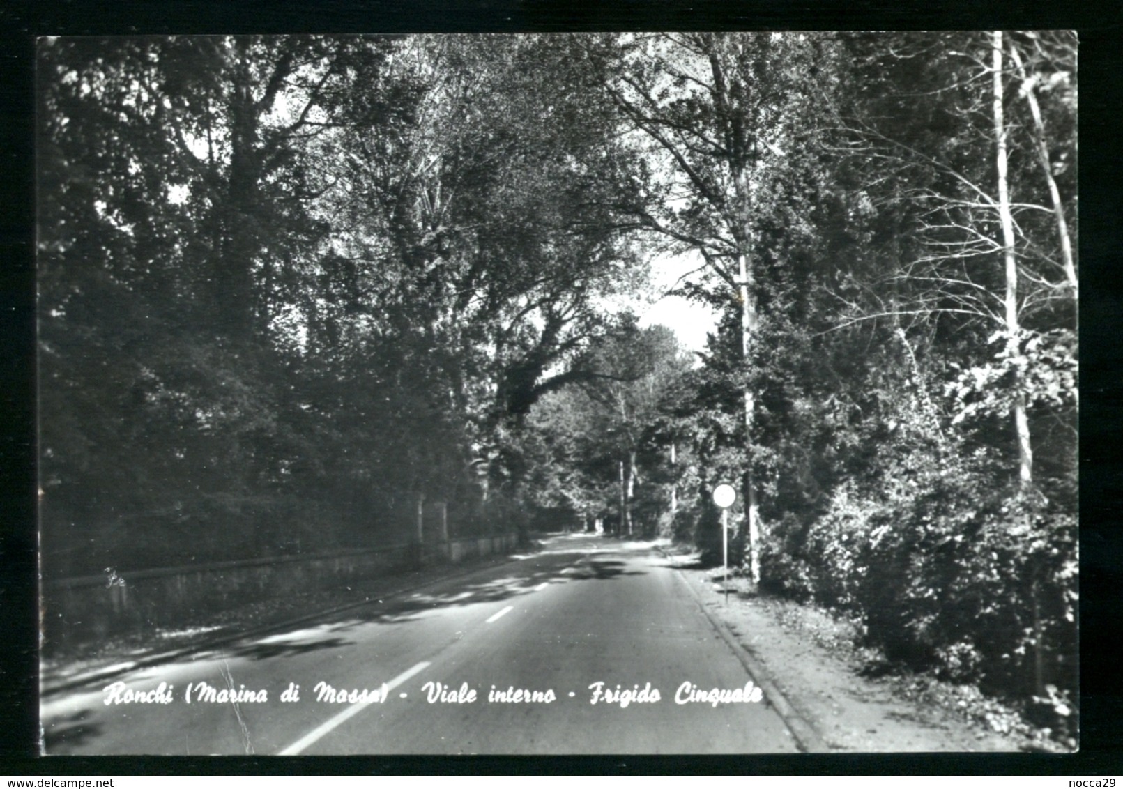 RONCHI - MARINA DI MASSA - 1968 - VIALE INTERNO - FRIGIDO CINQUALE - Massa