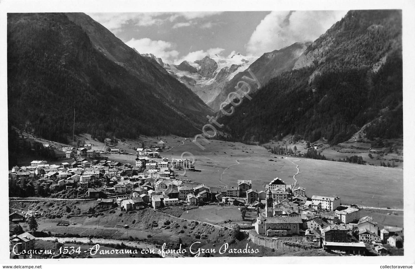 Cartolina Cogne Panorama Con Gran San Bernardo 1955 (Aosta) - Altri & Non Classificati