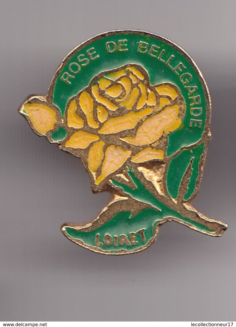 Pin's Rose De Bellegarde Loiret Dpt 45   Réf 7442JL - Steden