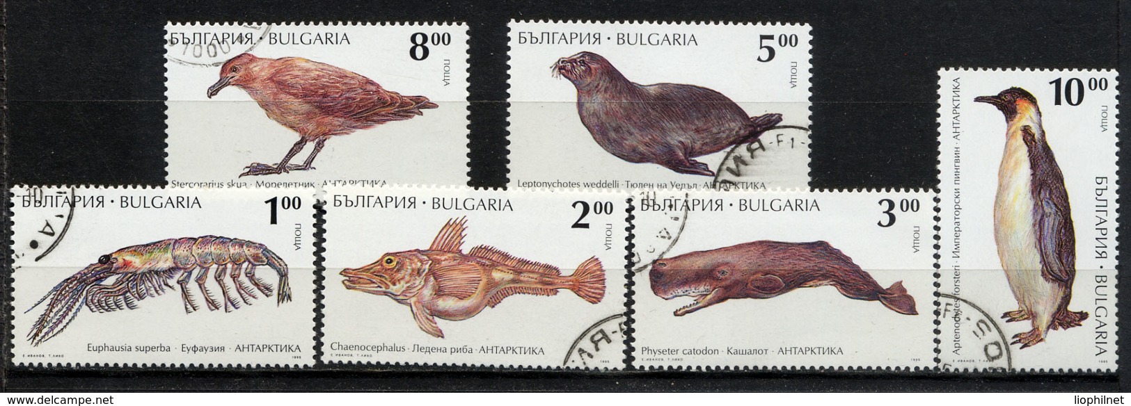 BULGARIE BULGARIA 1995, ANIMAUX ANTARCTIQUE, 6 Valeurs, Oblitérés / Used. R675 - Oblitérés