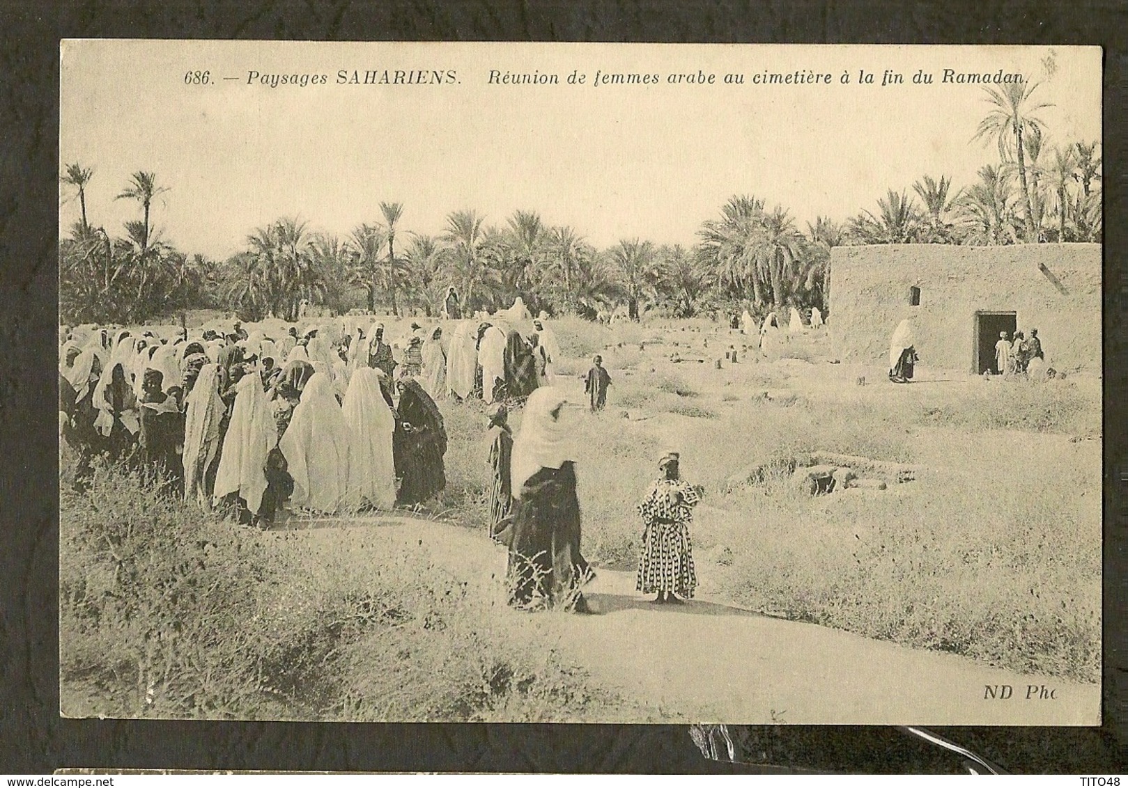 CP-Paysages SAHARIENS - Réunion De Femmes Arabe Au Cimetière à La Fin Du Ramadan - Sahara Occidental