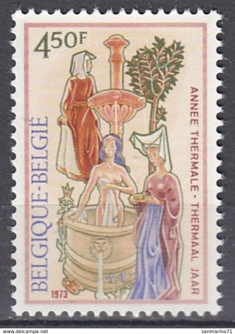 BELGIUM 1736,unused - Unused Stamps