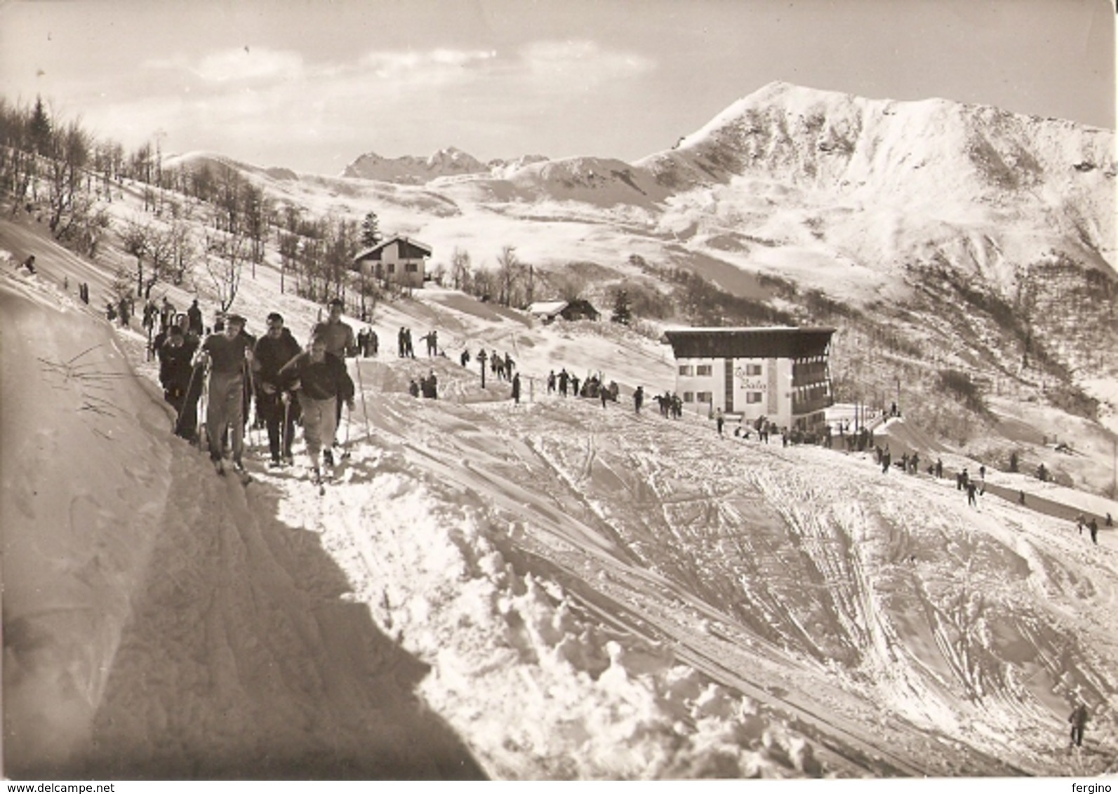 368/FG/18 - ALPINISMO - SCOPELLO MERA (VERCELLI) - Campi Sport Invernali - Vercelli