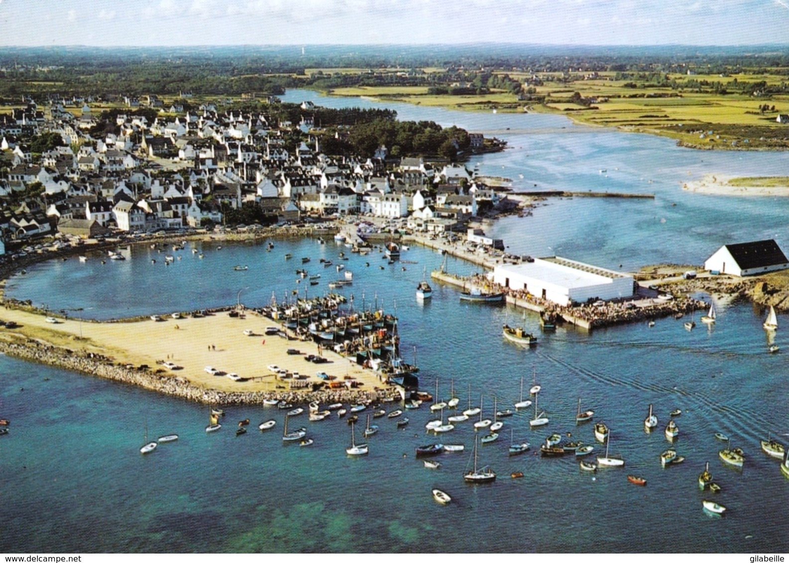 29 - Finistere -  LESCONIL - Rentrée De Peche Au Port - Lesconil