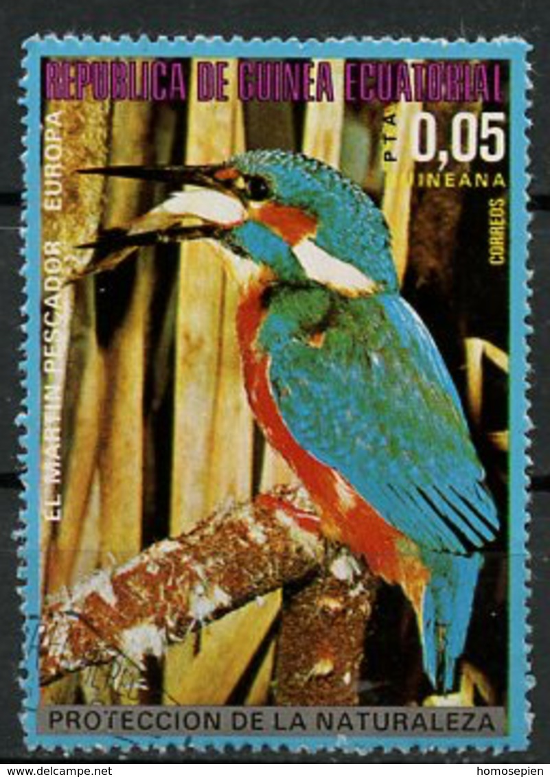 Guinée équatoriale - Guinea 1976 Y&T N°95-0,05p - Michel N°929 (o) - 0,05p Oiseau D'Europe Martin Pêcheur - Guinea Equatoriale