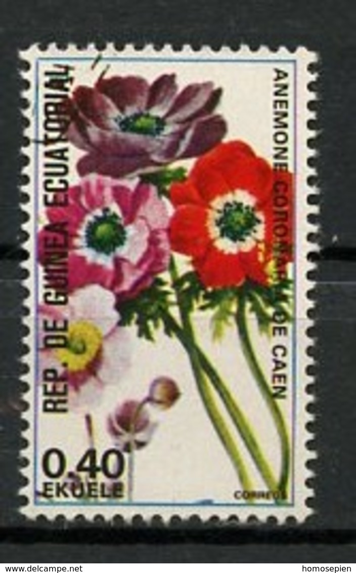Guinée équatoriale - Guinea 1976 Y&T N°89-0,40e - Michel N°926 (o) - 0,40e Fleur D'Amérique Anémone - Guinée Equatoriale