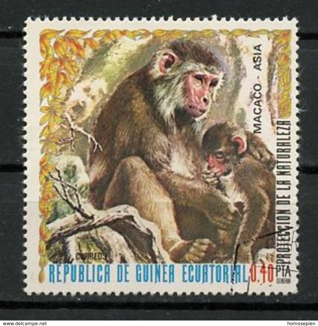 Guinée équatoriale - Guinea 1976 Y&T N°90-0,40p - Michel N°940 (o) - 0,40p Macaque - Guinée Equatoriale