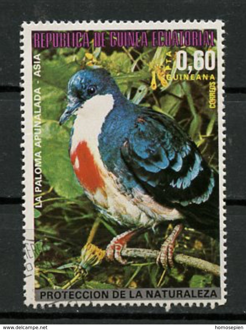 Guinée équatoriale - Guinea 1976 Y&T N°91-0,60p - Michel N°948 (o) - 0,60p Oiseau D'Asie Palombe - Guinea Ecuatorial