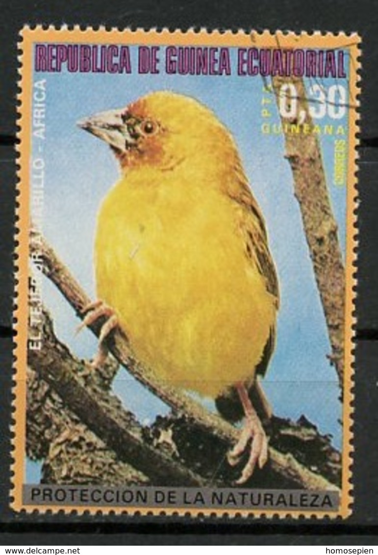 Guinée Equatoriale - Guinea 1976 Y&T N°92-0,30p - Michel N°989 (o) - 0,30p Oiseau D'Afrique Tisserin - Guinée Equatoriale
