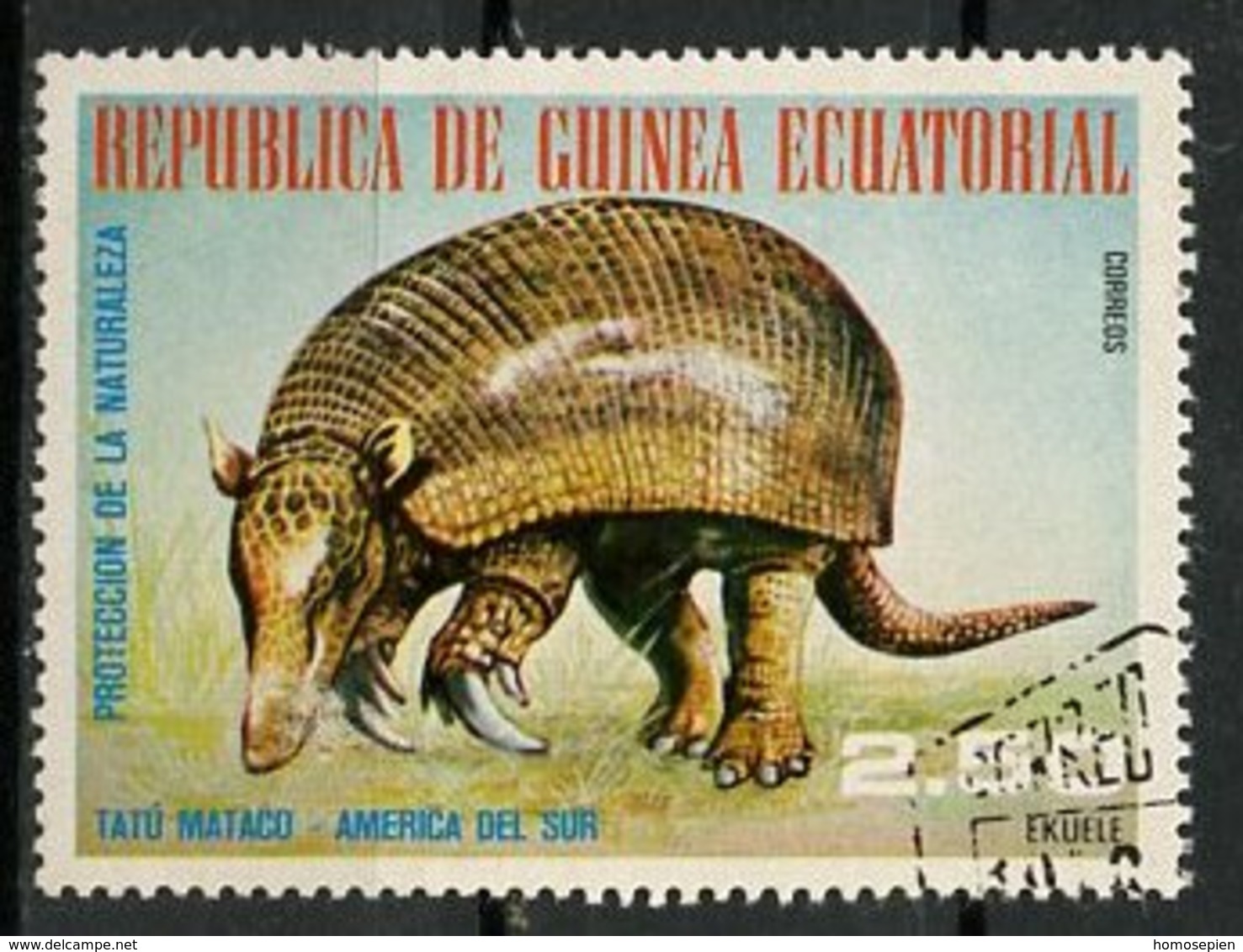 Guinée Equatoriale - Guinea 1977 Y&T N°111-2,50e - Michel N°(?) (o) - 2,50e Animaux D'Amérique Du Sud Tatou - Equatorial Guinea