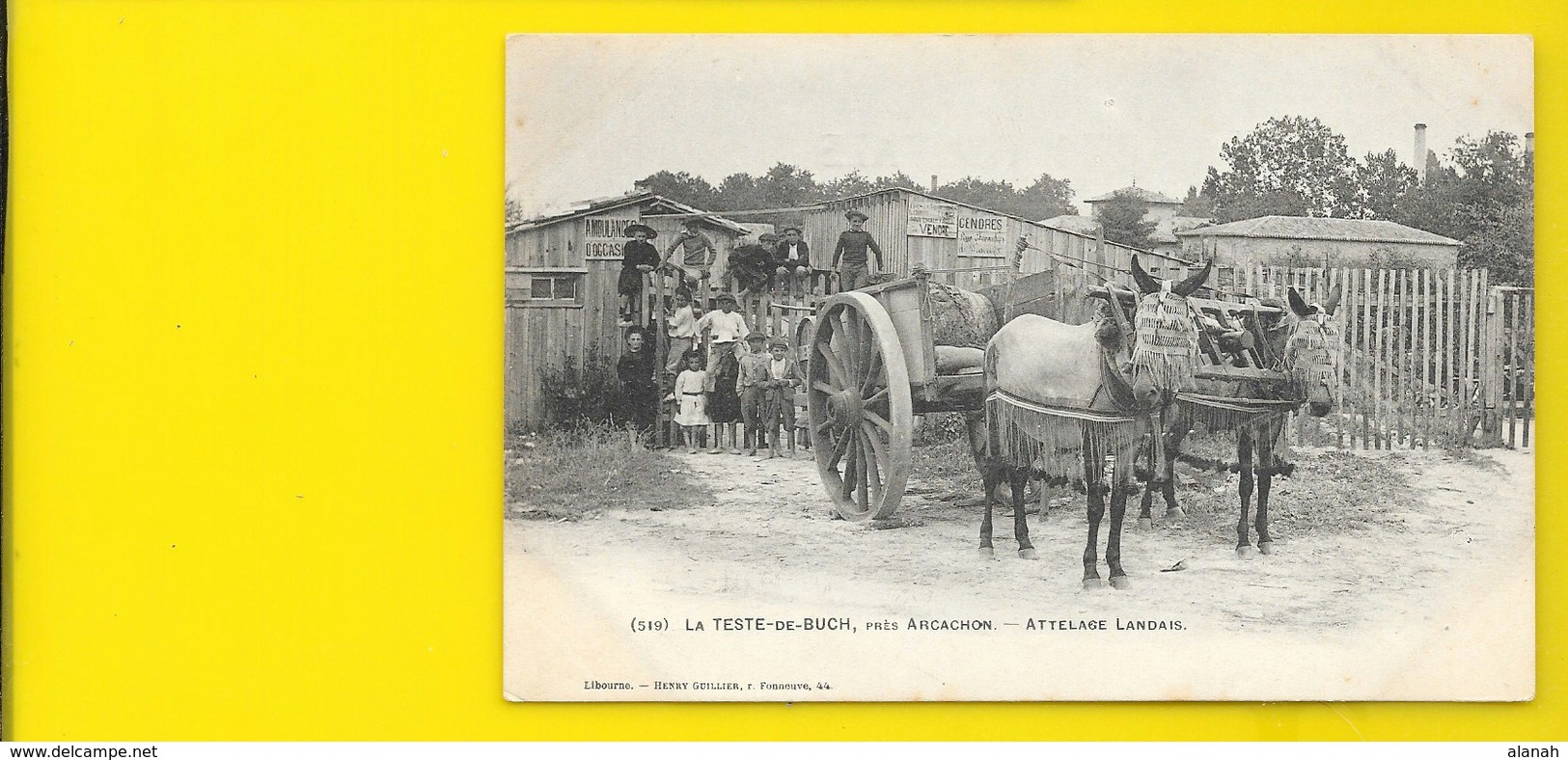 LA TESTE DE BUCH Attelage Landais Métier (Guillier) Gironde (33) - Autres & Non Classés