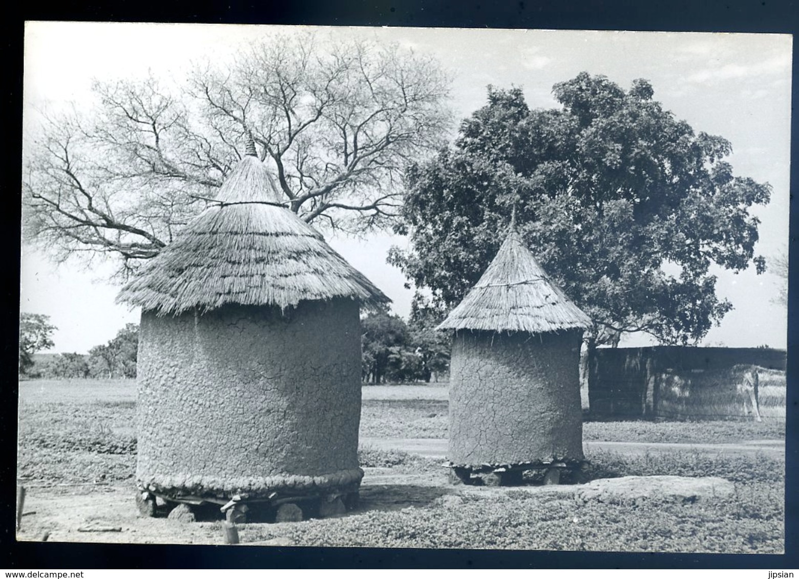 Cpa Carte Photo Haute Volta , Burkina Faso         YN31 - Burkina Faso