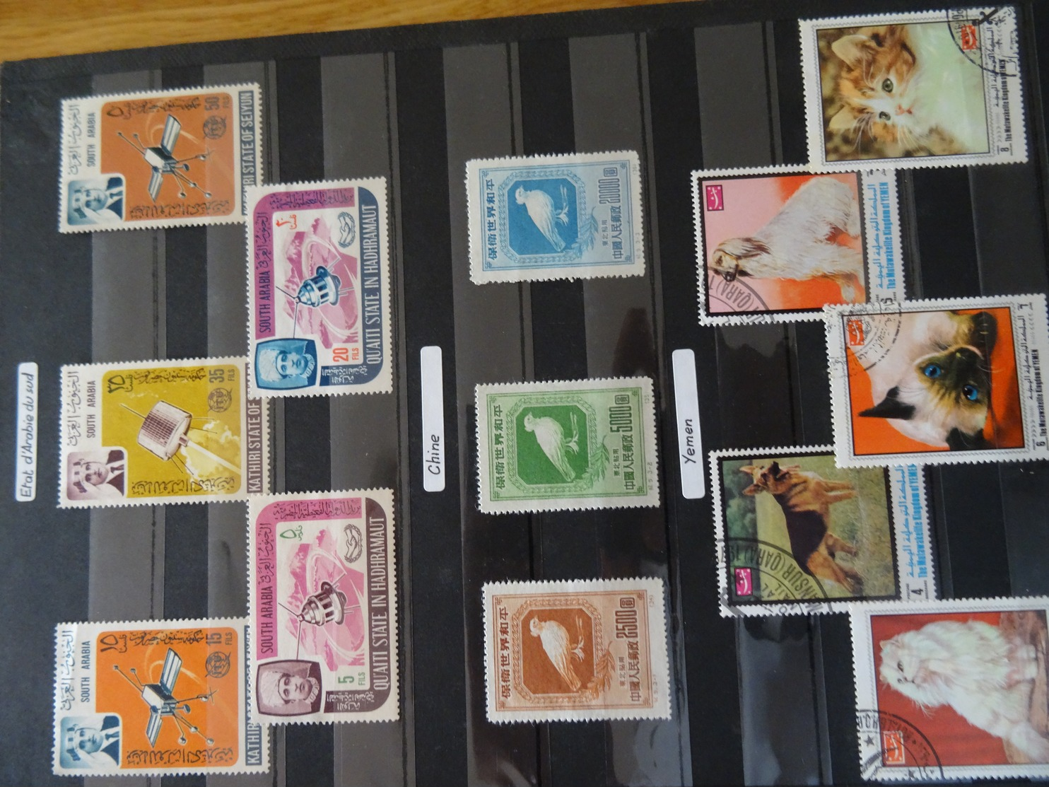 Classeur De Timbres Du Monde (séries Complètes) - Collections (en Albums)