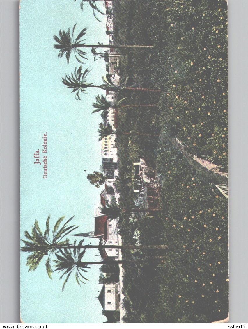 JAFFA Deutsche Kolonie Color Litho On Turkey Postcard C. 1908 - Israël
