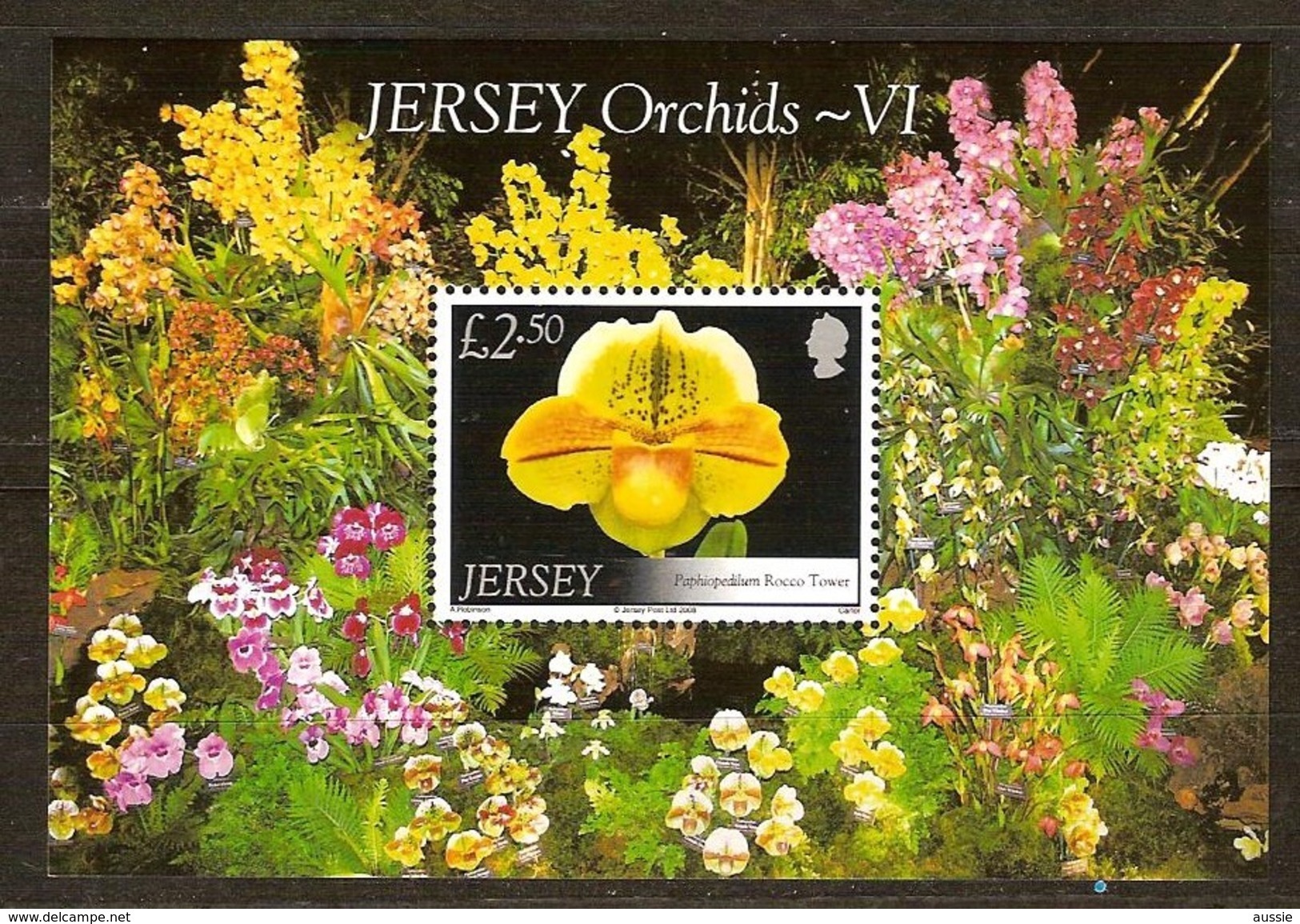 Jersey 2008  Yvertn° Bloc 84 *** MNH Cote 11 Euro Flore Bloemen Fleurs Flowers Orchidee - Jersey