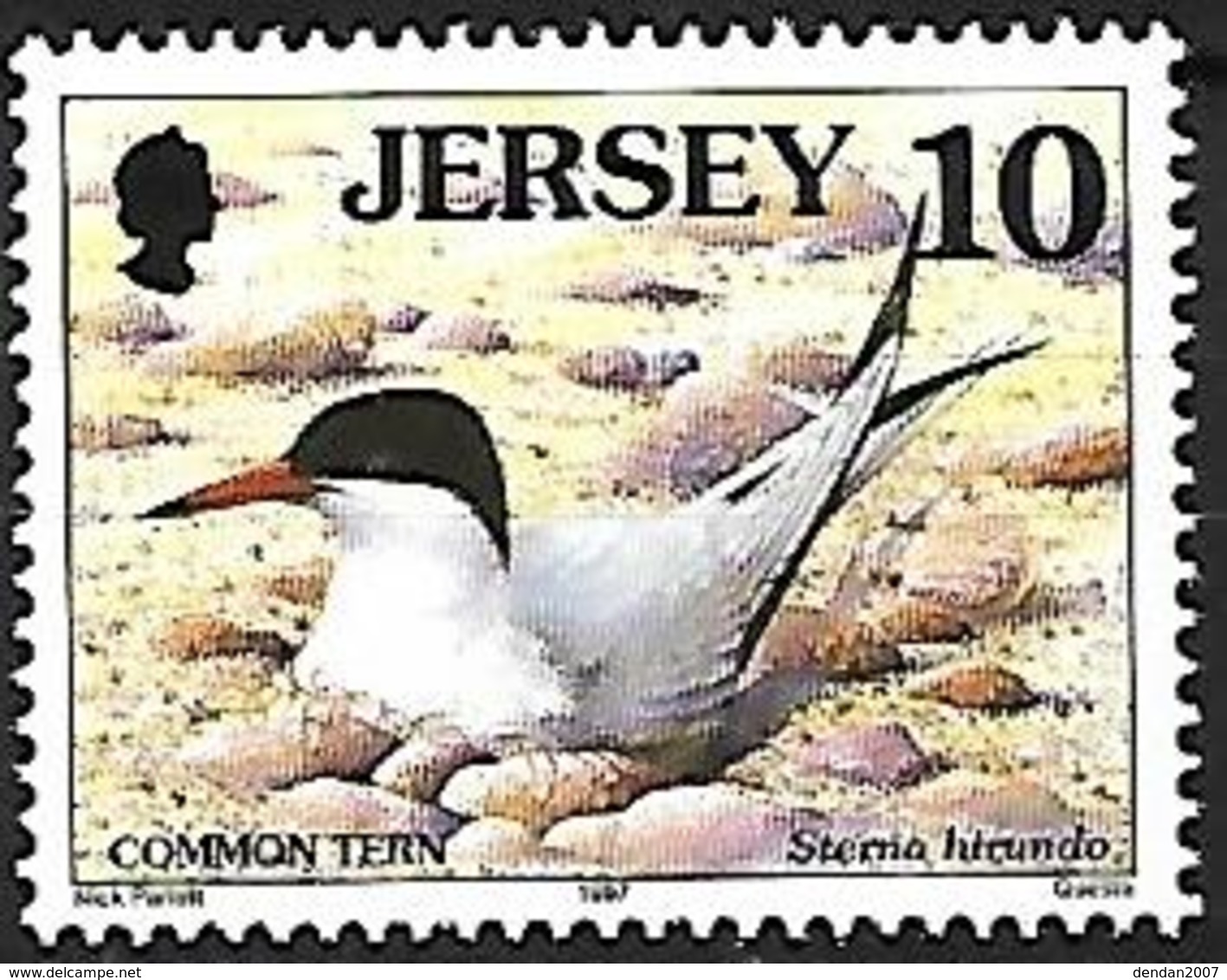 Jersey - 1997 - MNH - Common Tern (Sterna Hirundo - Mouettes