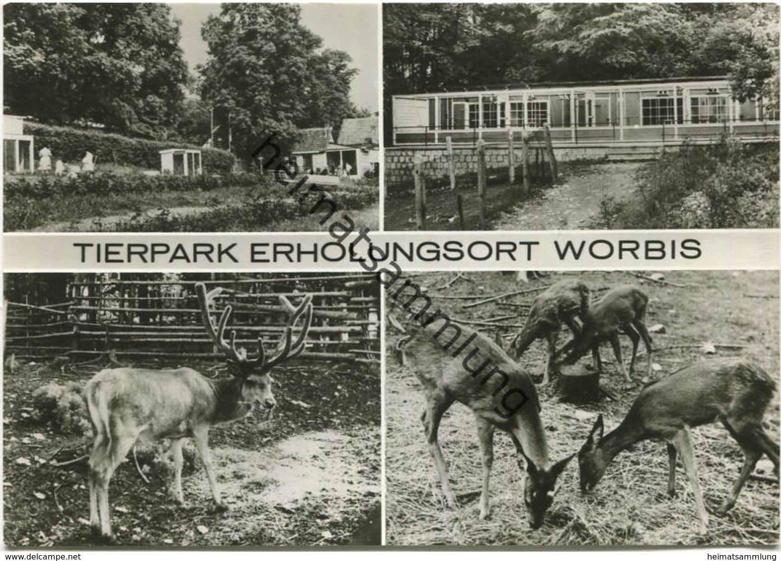 Worbis - Tierpark - Foto-AK Grossformat - Verlag Bild Und Heimat Reichenbach - Worbis