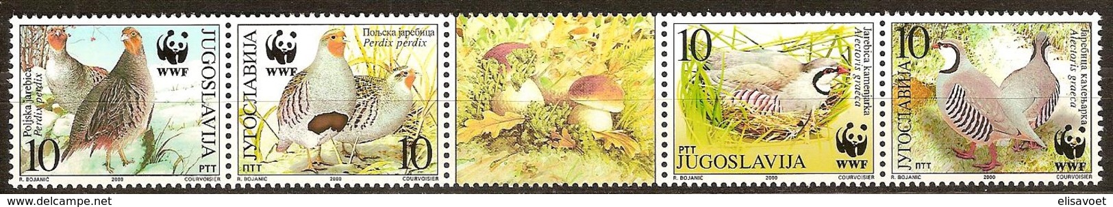 Yougoslavie Joegoslavie 2000 Yvertn°  2815-2818 Se Tenant  *** MNH  Faune WWF Birds Oiseaux Vogels - Neufs