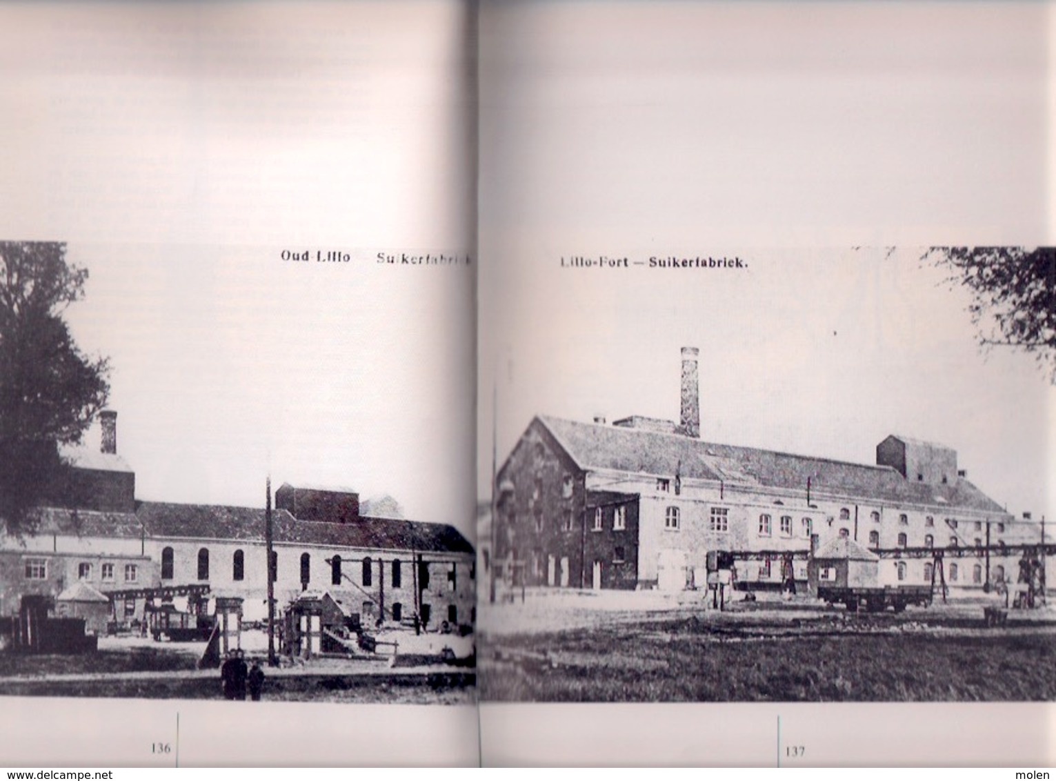 ANTWERPEN TUSSEN POLDER EN HAVEN 201pp ©1984 SCHELDE urbanisatie Lillo Zandvliet Berendrecht heemkunde geschiedenis Z751