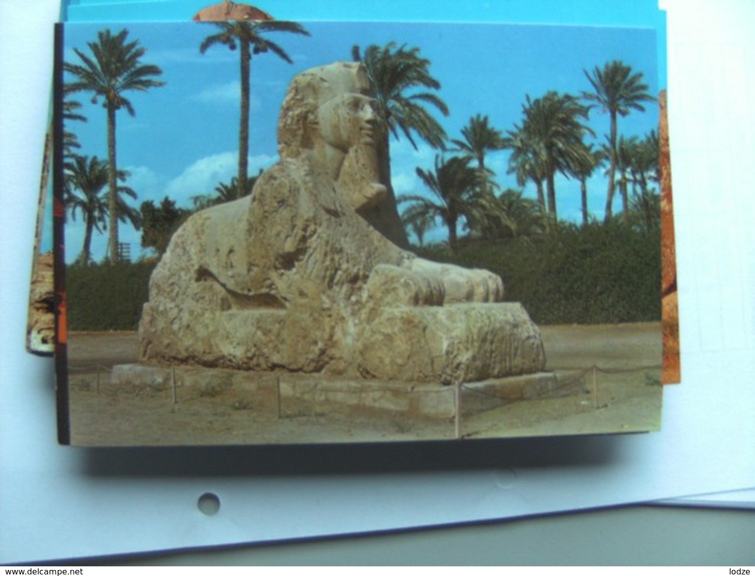 Egypte Egypt Giza Spinx Of Sakkara Nice View - Sphynx