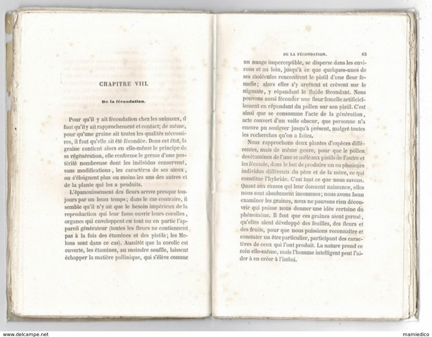 1886 LE MELON- Sa Culture Sous Cloche, Sur Buttes Et Sur Couches. Par LOISEL. Vendu En L'état.108 Pages - Jardinage