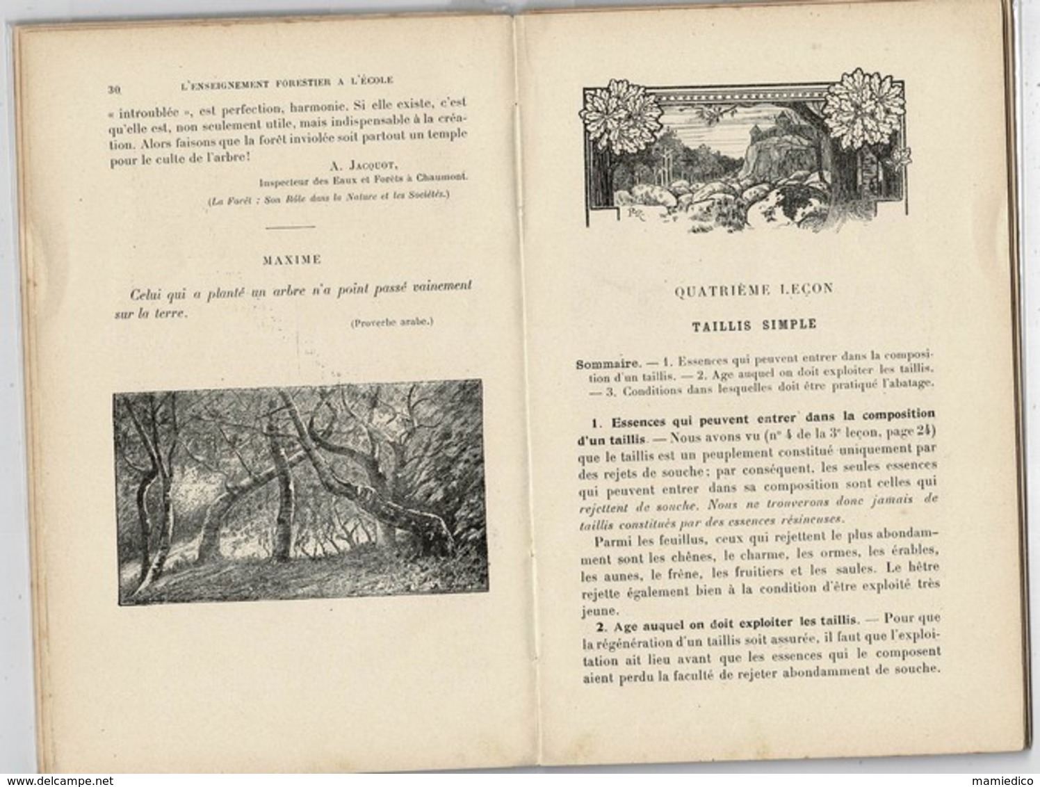 1910 ENSEIGNEMENT FORESTIER A L'ECOLE. 74 PAGES. Intéressant Mais Vendu En L'état. - 1801-1900