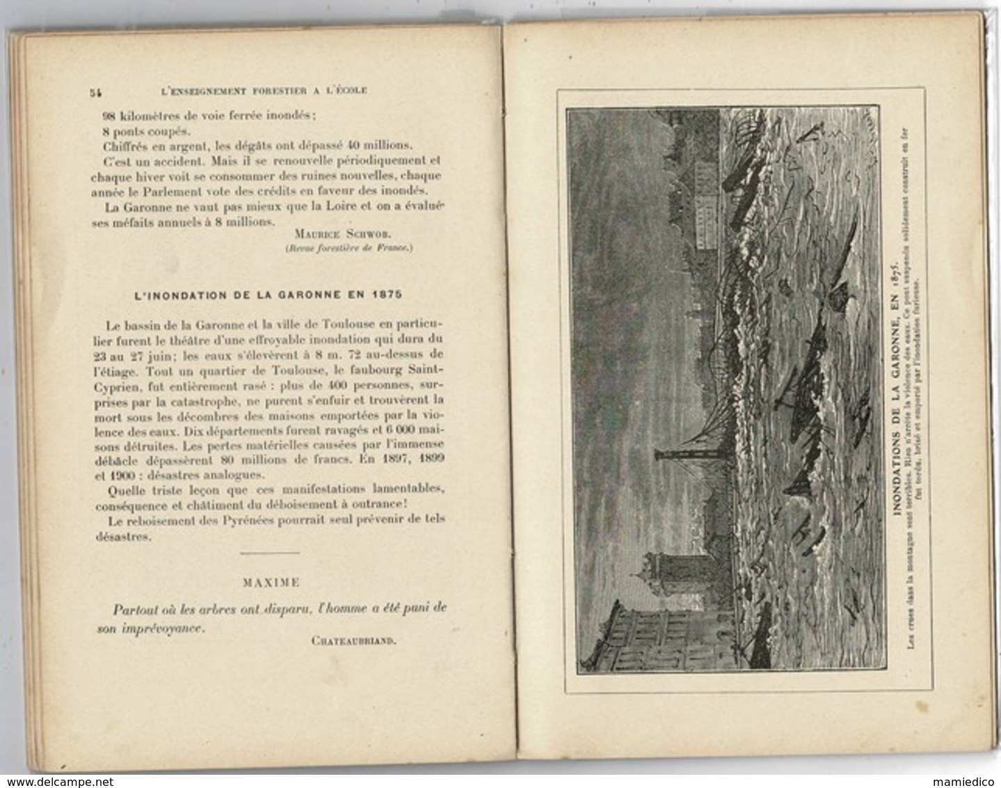 1910 ENSEIGNEMENT FORESTIER A L'ECOLE. 74 PAGES. Intéressant Mais Vendu En L'état. - 1801-1900