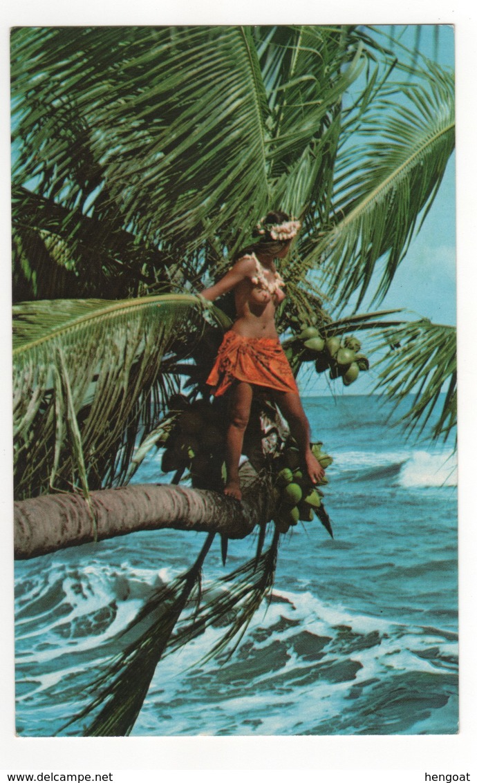 Belle Jeune Femme Seins Nus Au Bord De Mer , écrite - Polynésie Française